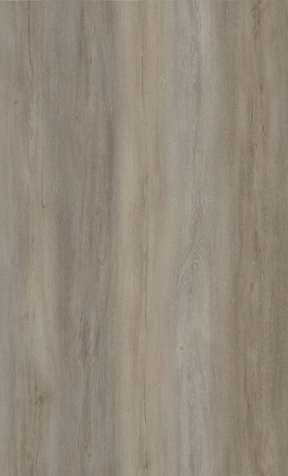 TrueLVT American Elm - Image 3