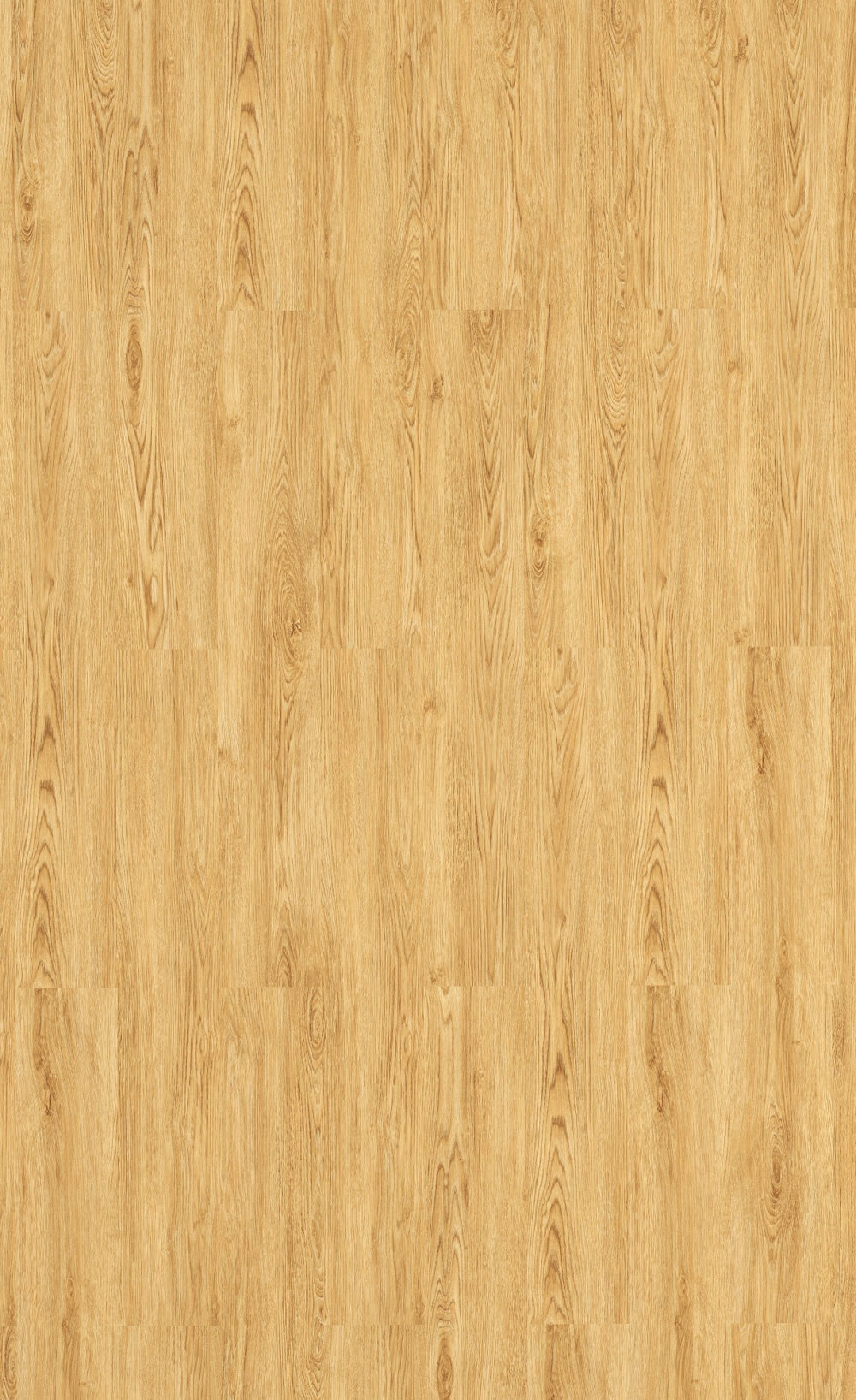 Golden Oak SPC - Image 2
