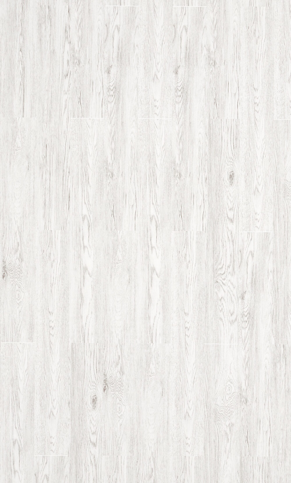 Nordic White Birch SPC - Image 2