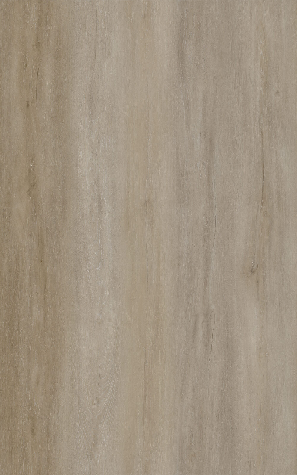 TrueLVT White Poplar - Image 2