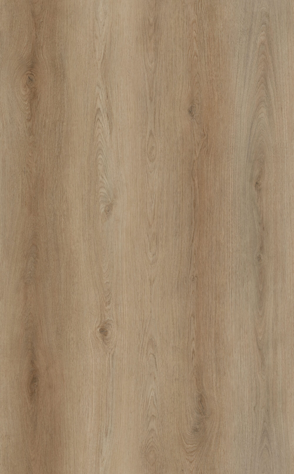 Allora Lux White Elder Oak - Image 2