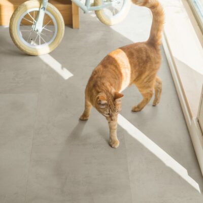 Quick-Step Muse Grey Concrete - Image 9