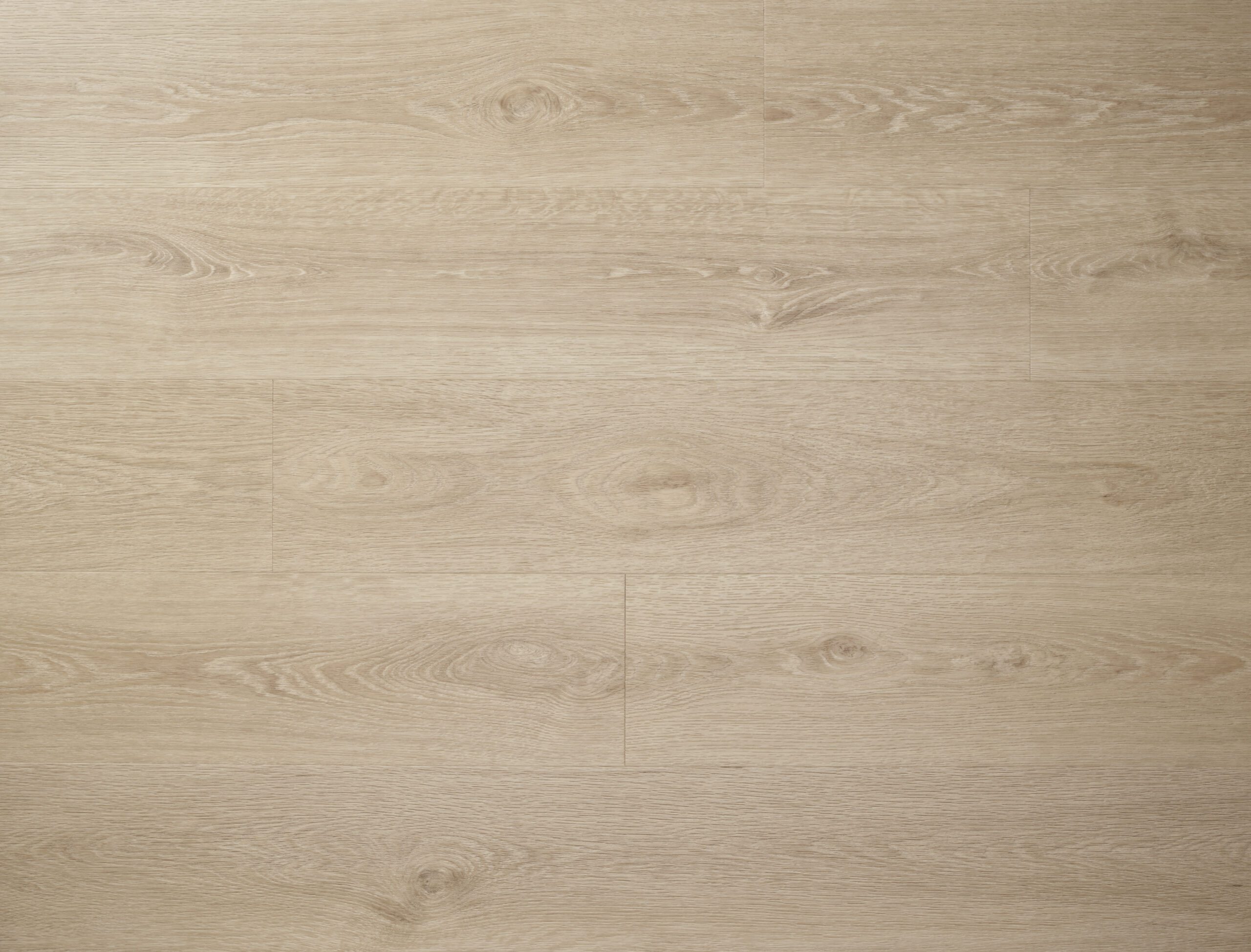 Textures LVT Blonde Oak - Image 2