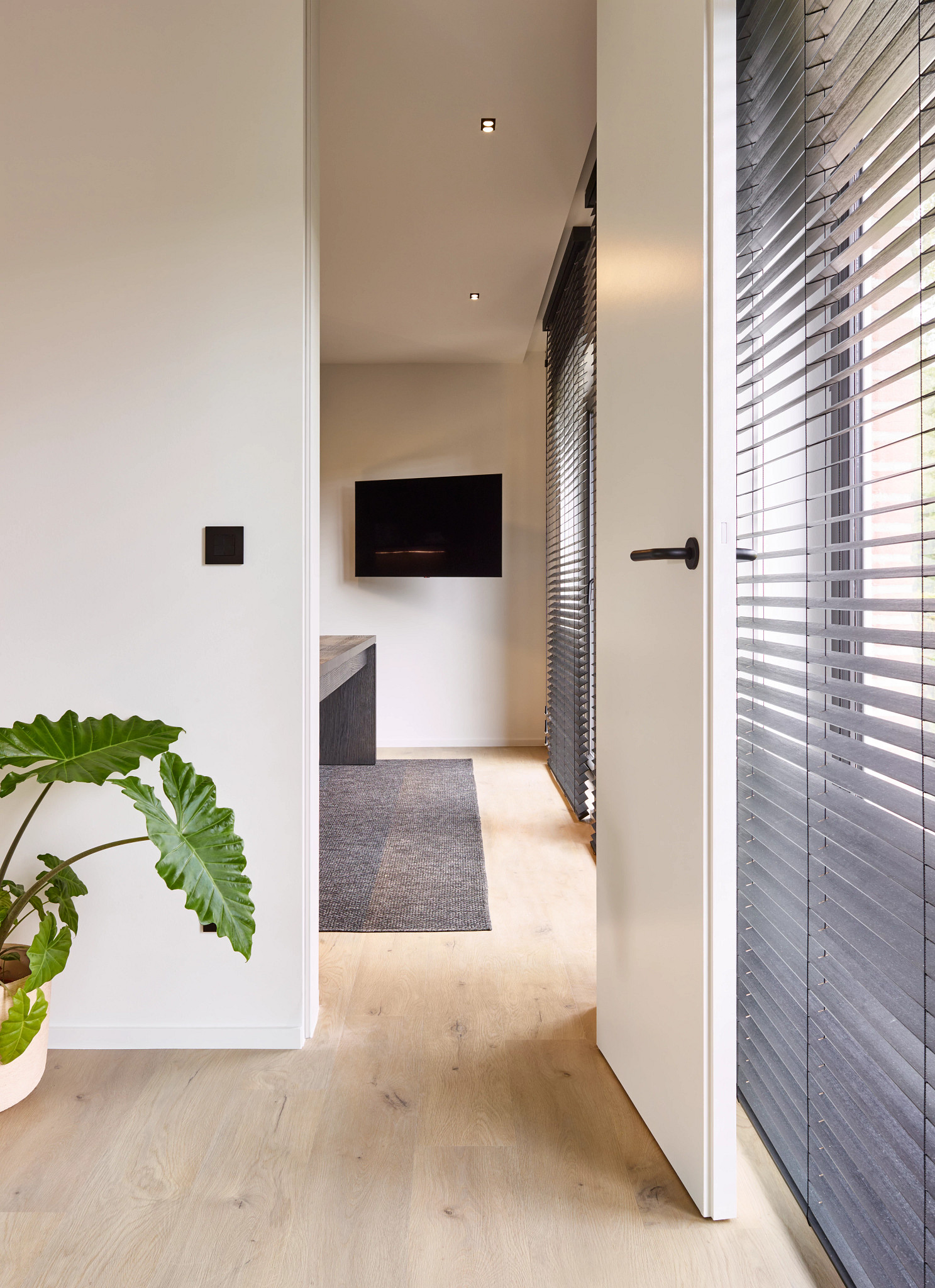 Coretec Naturals Forest - Image 2