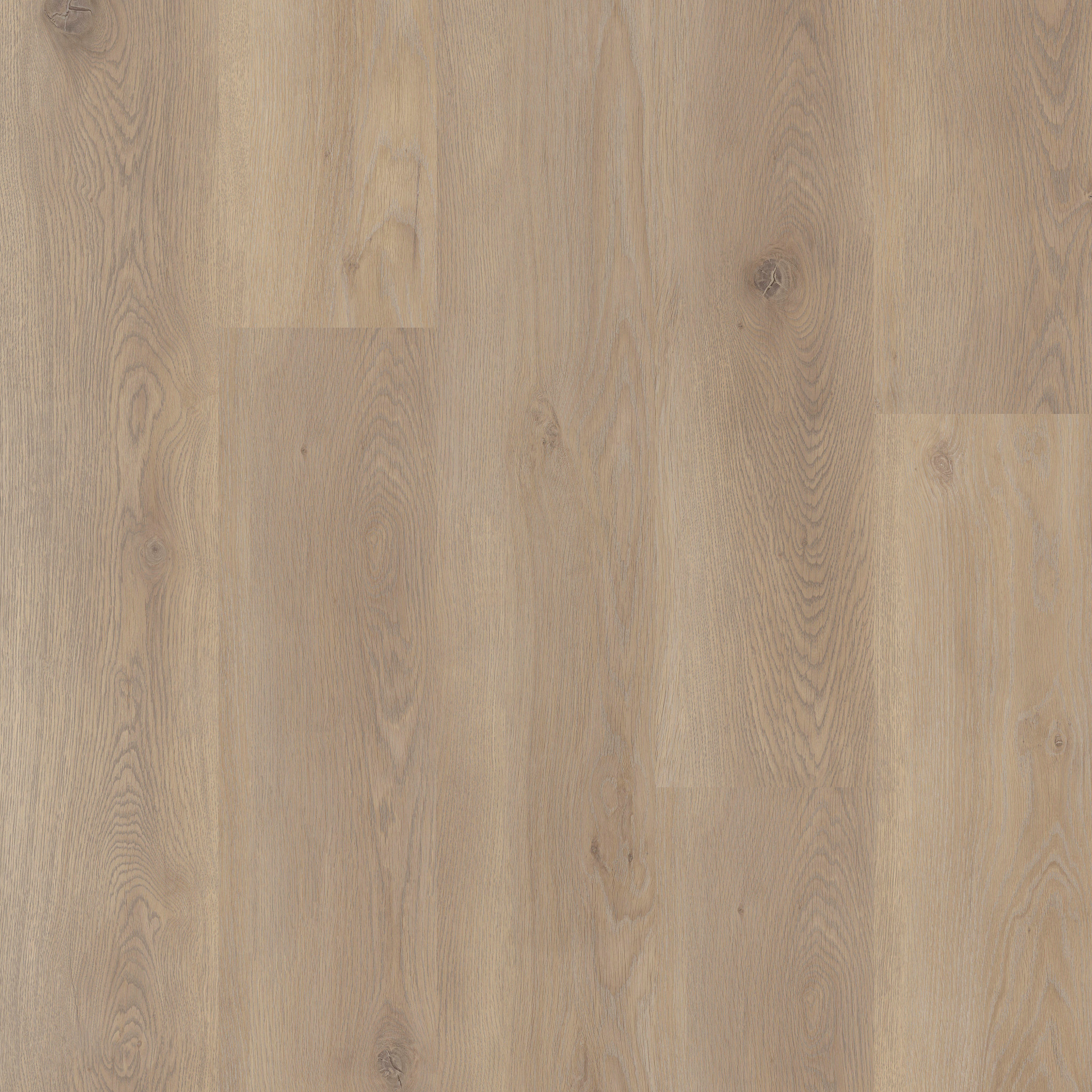 Coretec Naturals Meadow