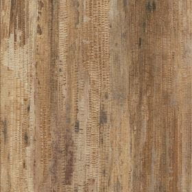 Invictus Maximus Tropical Forest Havana - Image 4