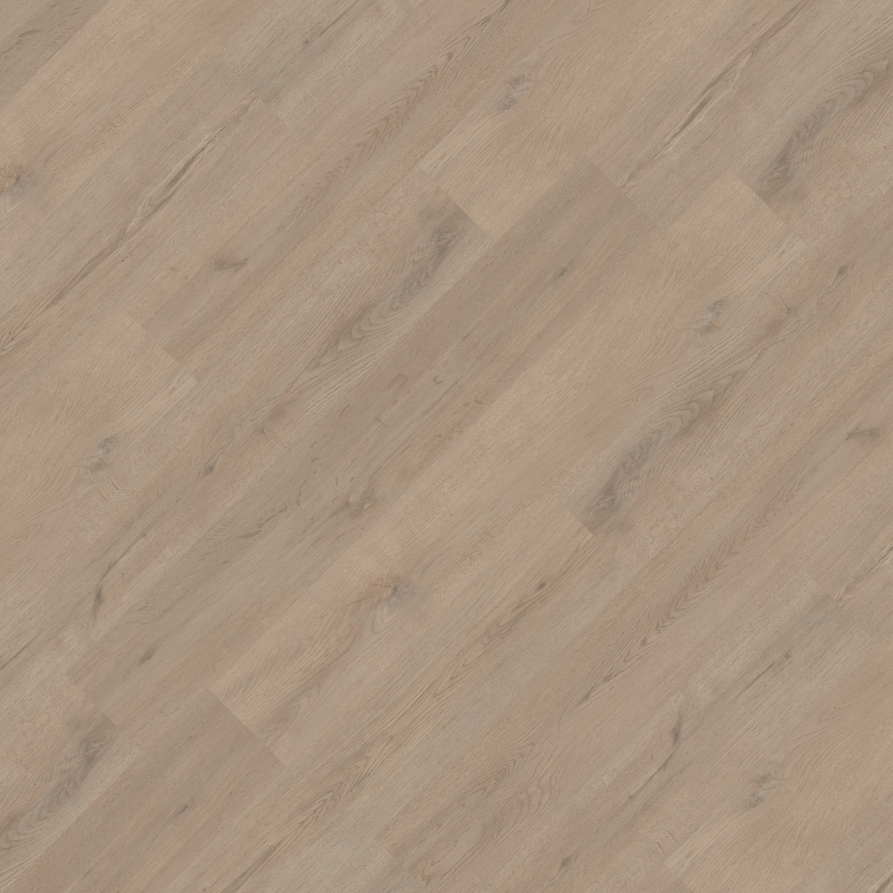 Brampton Chase Studio Designs Willow Oak