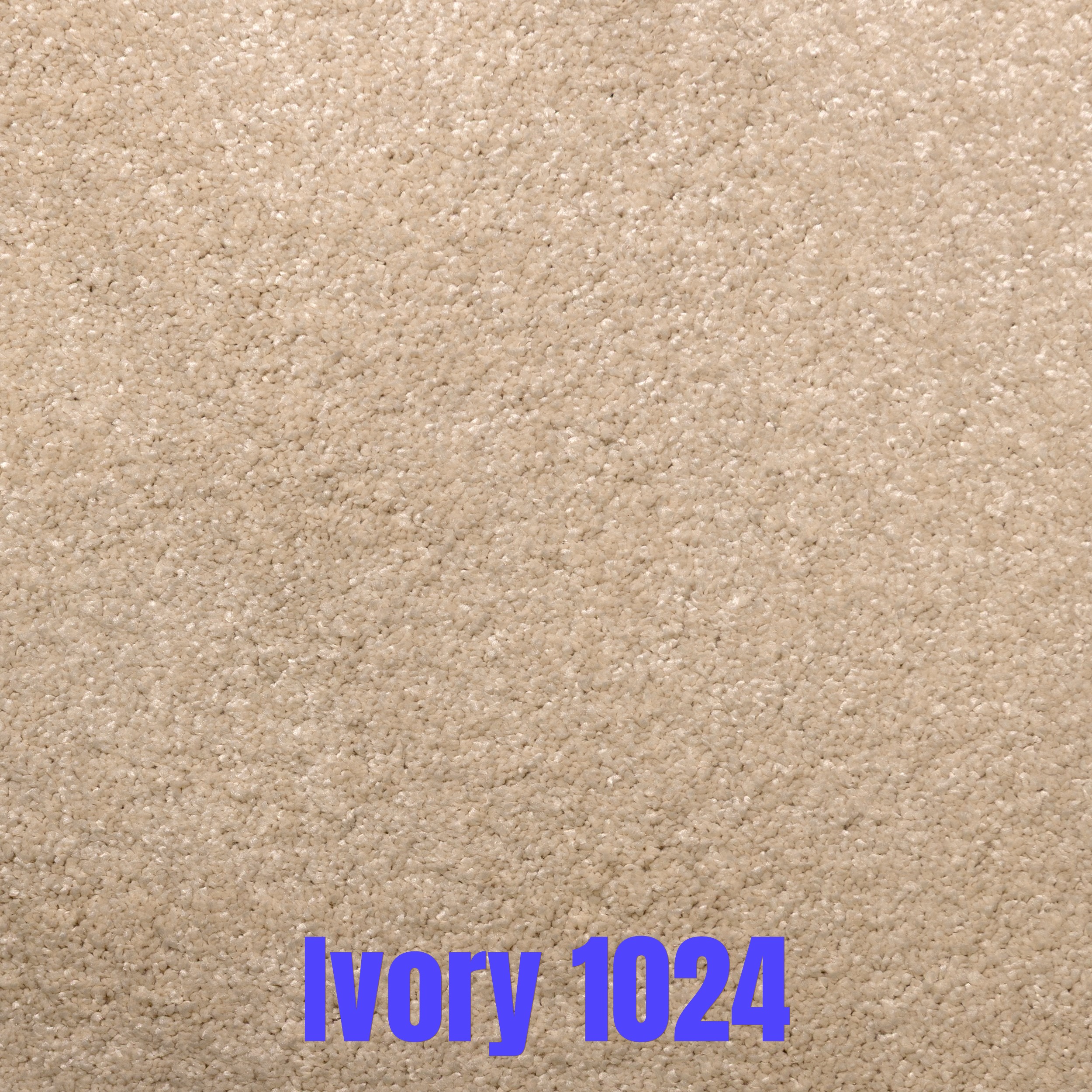 Envy - Image 12