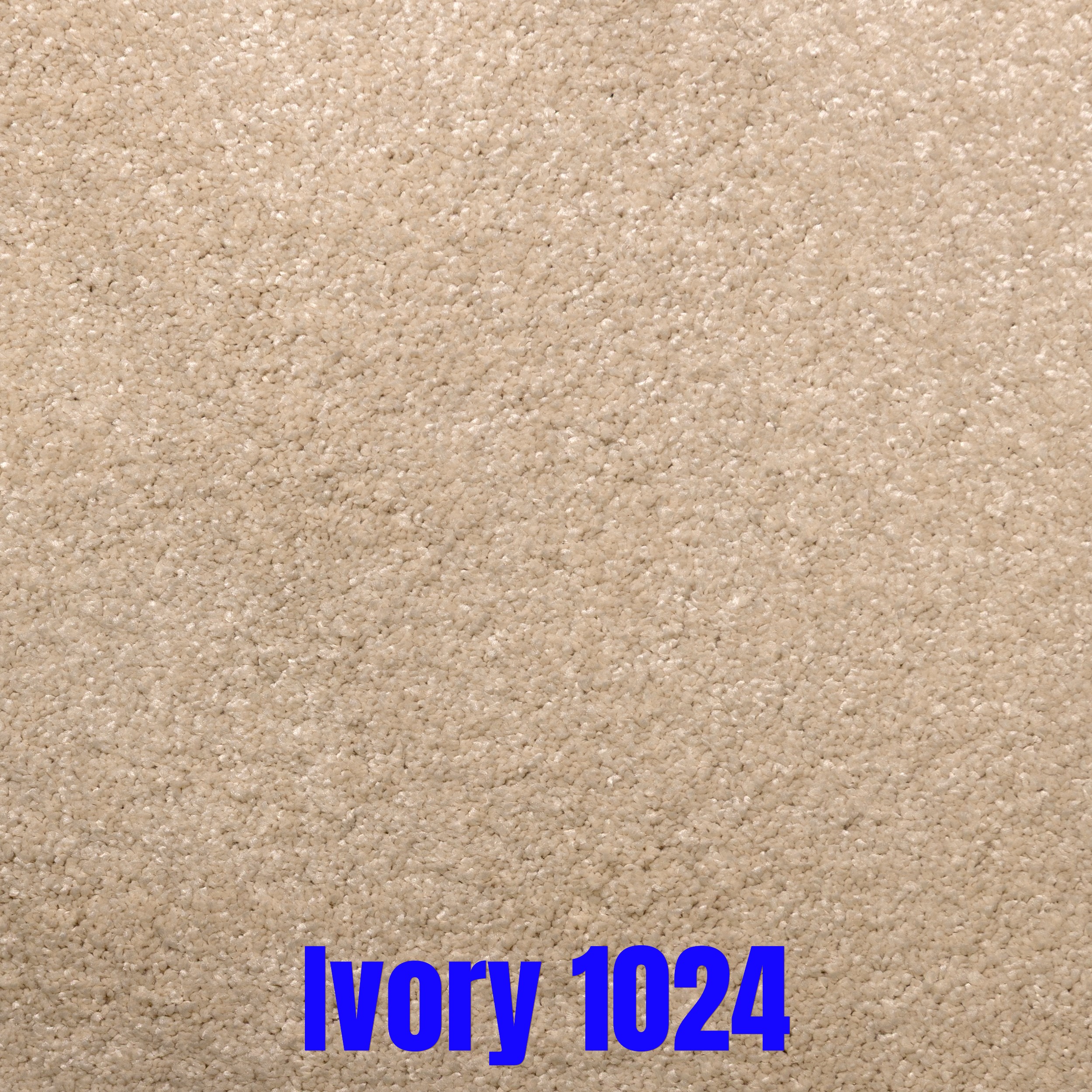 Envy - Image 12