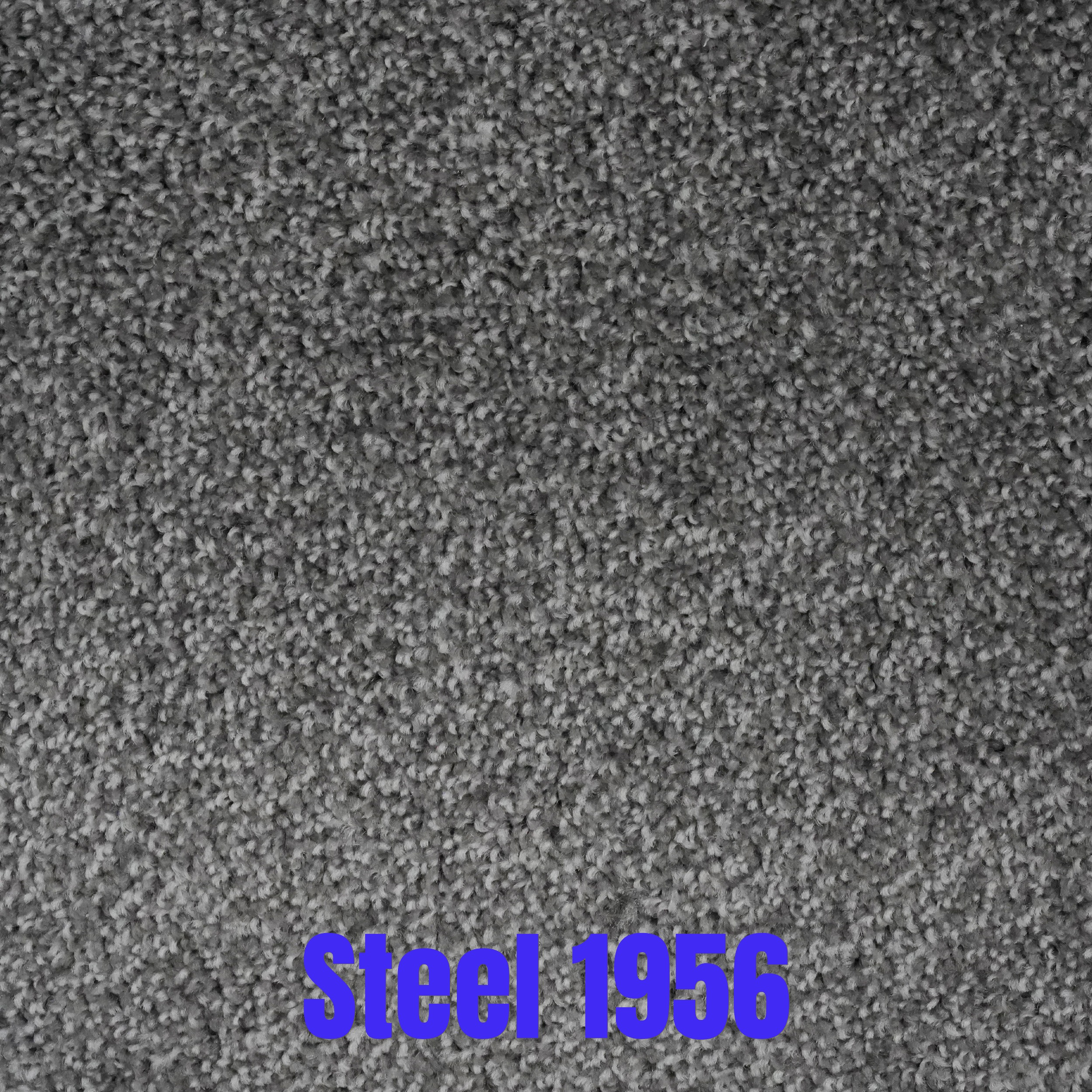 Maestro - Image 11
