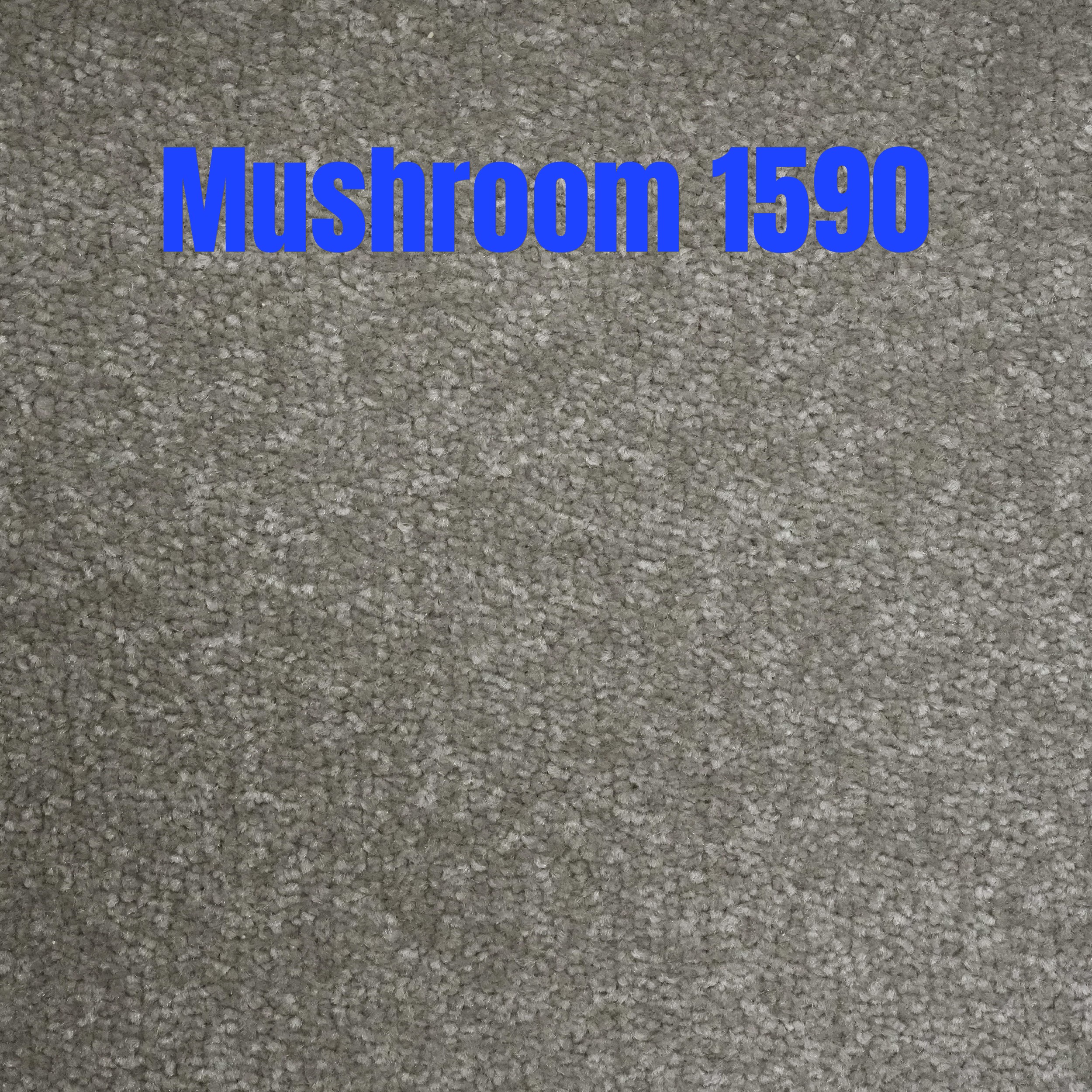 Messina - Image 12
