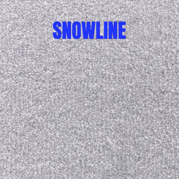 Cavalier Snowdon - Image 10